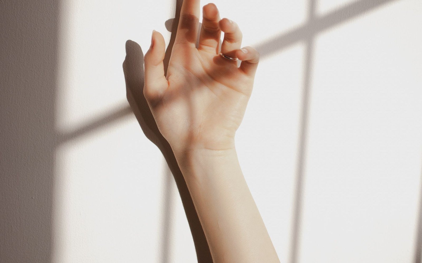 Hand held near a sunlit wall with soft shadows