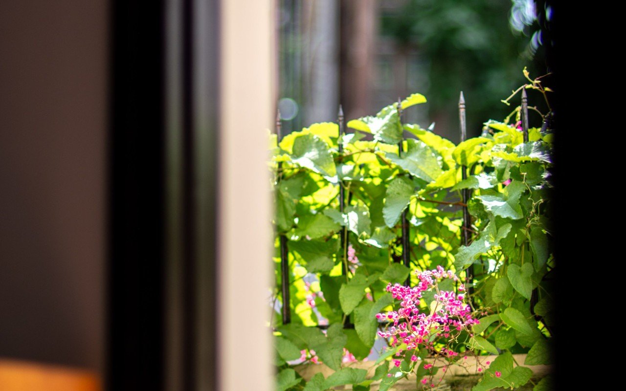 An open doorway looking onto green garden plants