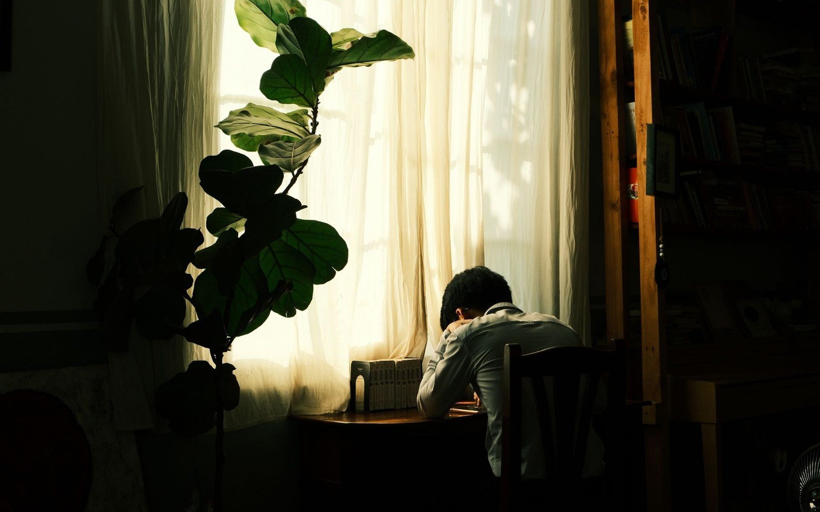 Person sitting at a table beside a sunlit window