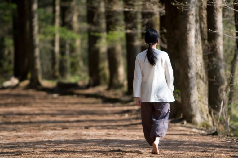 Person walking through a quiet sunlit forest